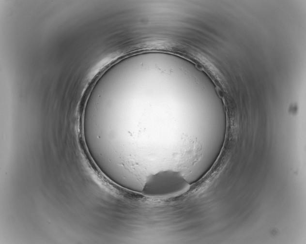 X0000093391034200711011306