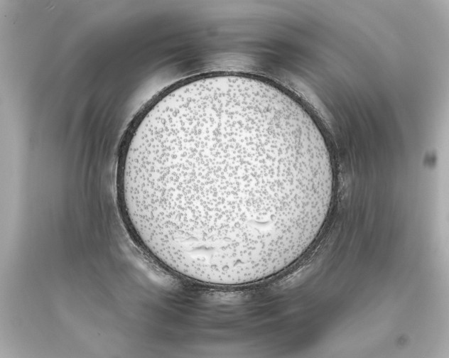 X0000093391035200711011306