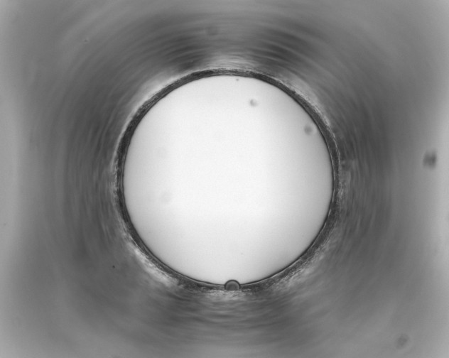 X0000093391037200711011306