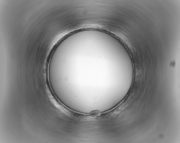 X0000093391038200711011306