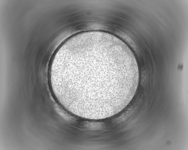 X0000093391039200711011306