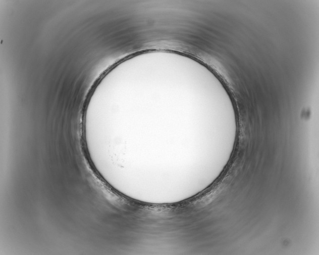 X0000093391040200711011306