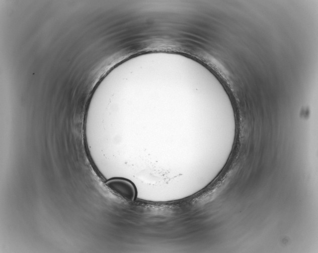 X0000093391041200711011306