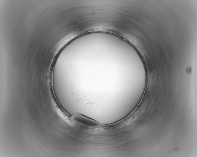 X0000093391042200711011306