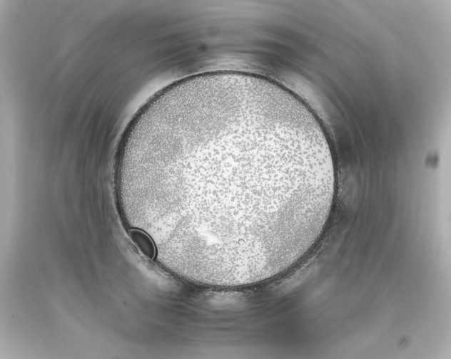 X0000093391043200711011306