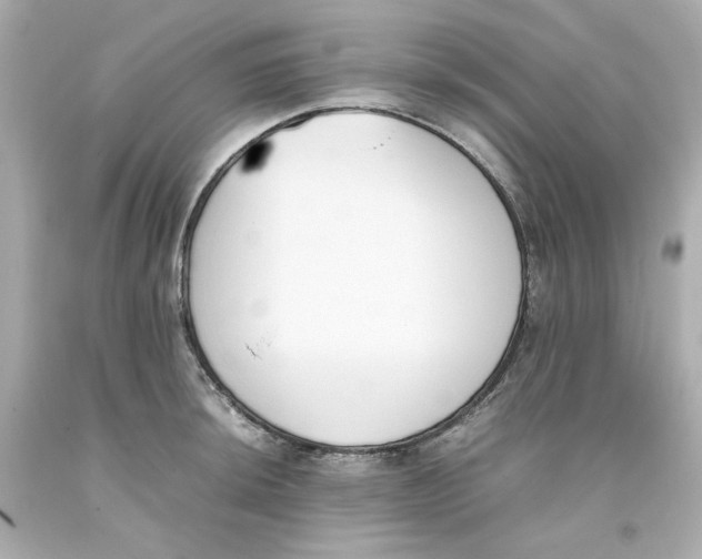 X0000093391044200711011306