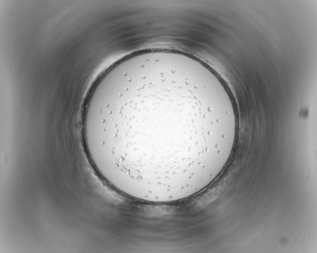 X0000093391045200711011306