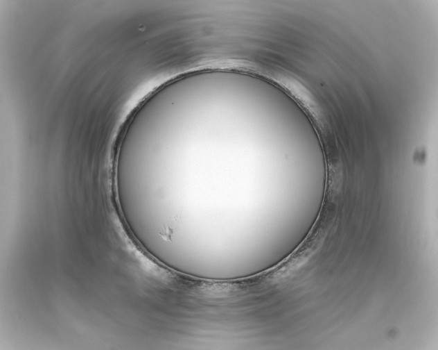 X0000093391046200711011306