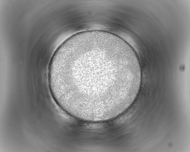 X0000093391047200711011306