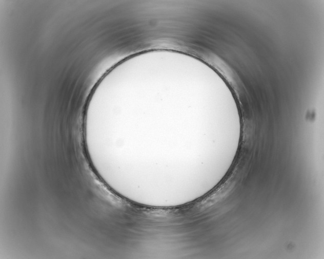 X0000093391048200711011306