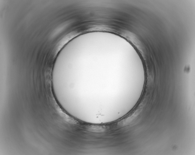 X0000093391049200711011306