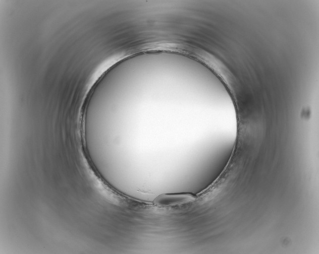 X0000093391050200711011307