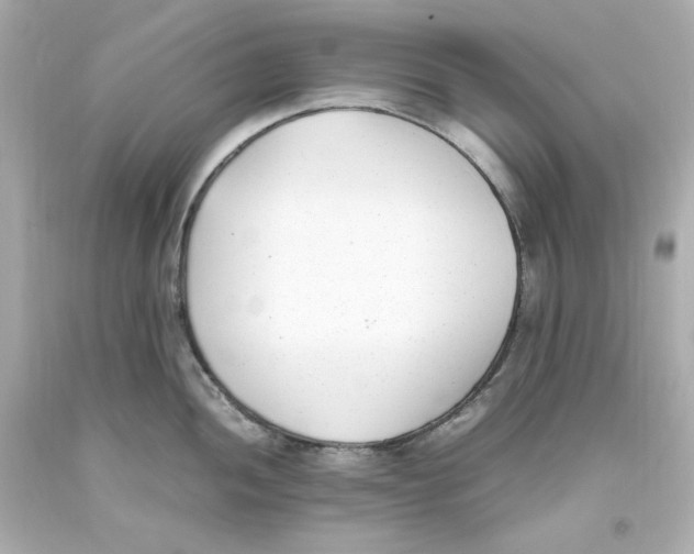 X0000093391052200711011307