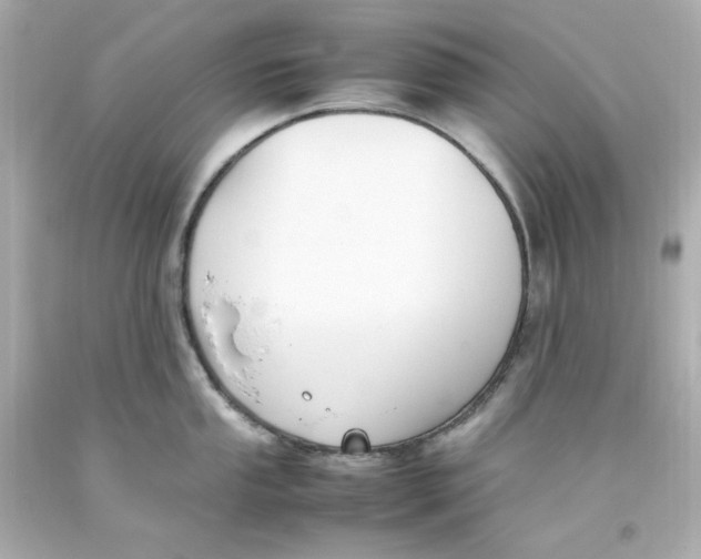 X0000093391053200711011307