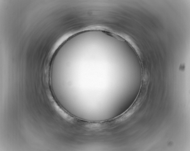 X0000093391054200711011307