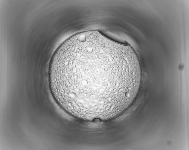 X0000093391055200711011307