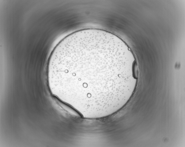 X0000093391056200711011307