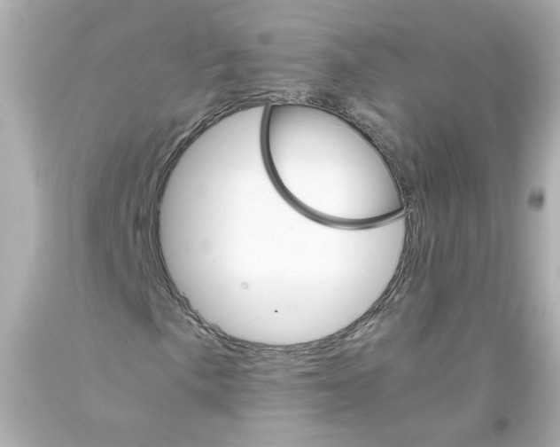 X0000093391057200711011306