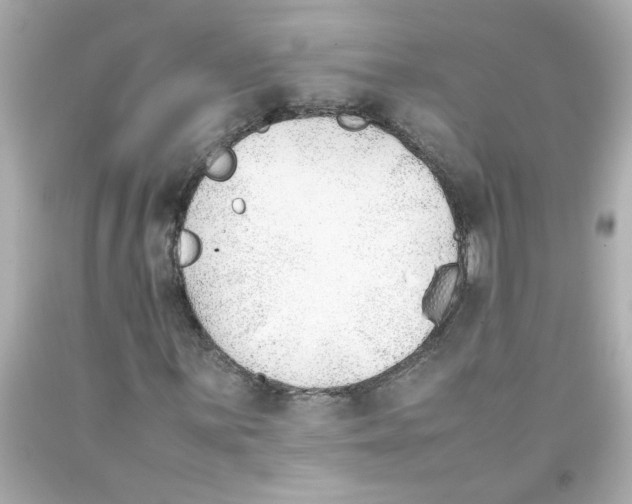 X0000093391059200711011306