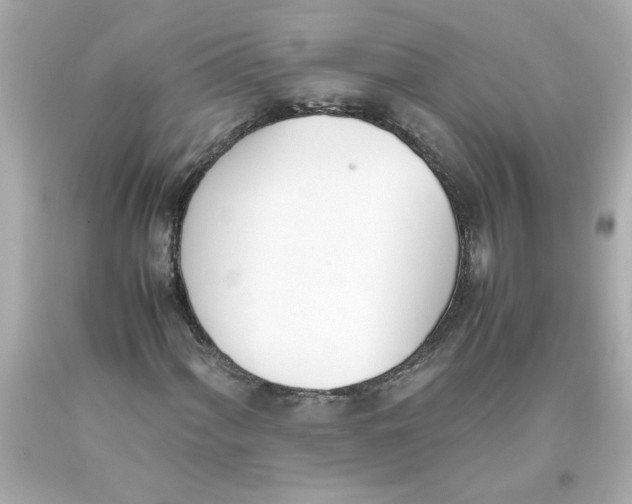 X0000093391060200711011306