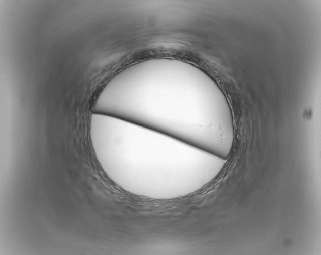 X0000093391061200711011306