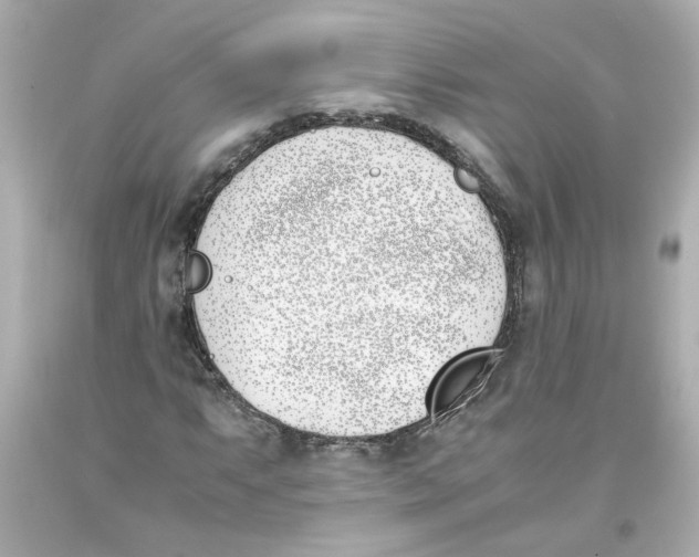 X0000093391063200711011306