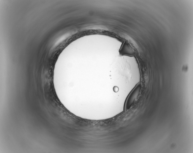 X0000093391064200711011306