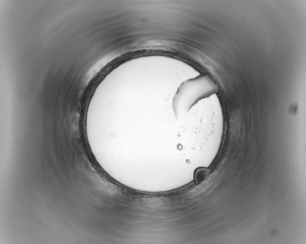 X0000093391066200711011306