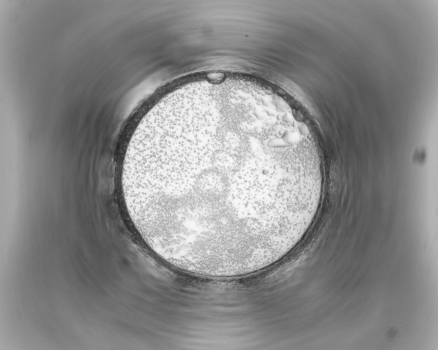 X0000093391067200711011306