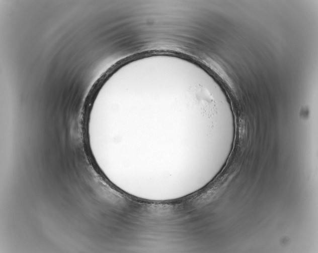 X0000093391068200711011306