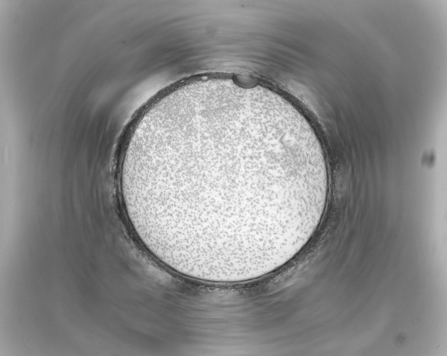 X0000093391071200711011306