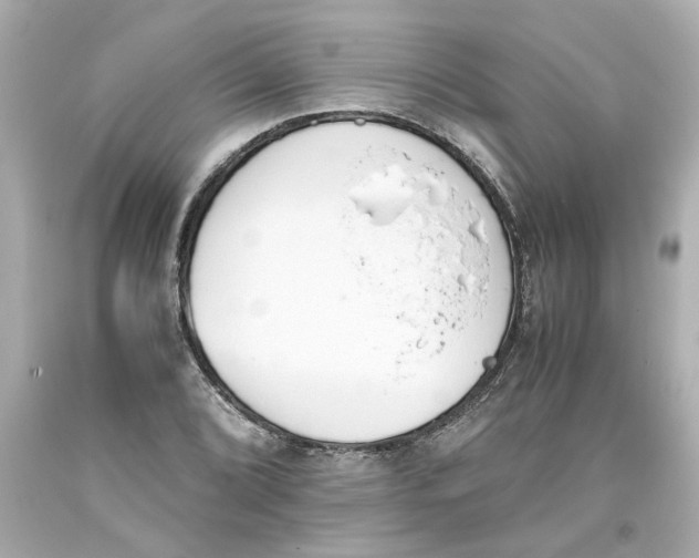 X0000093391072200711011306