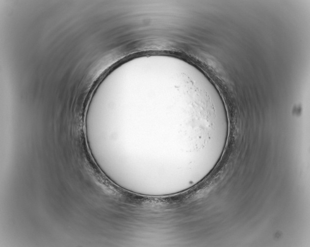 X0000093391073200711011306