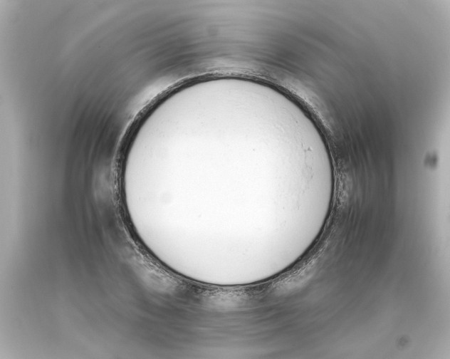 X0000093391074200711011306