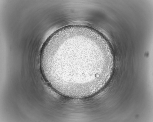 X0000093391075200711011306