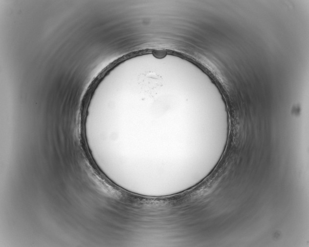 X0000093391076200711011306