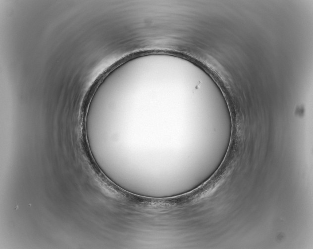 X0000093391077200711011306