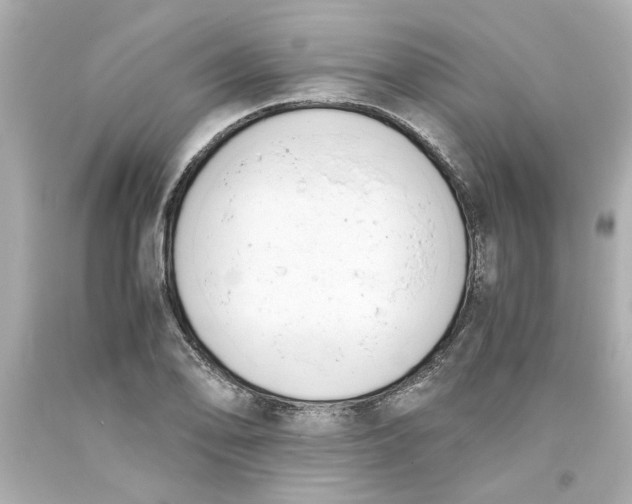 X0000093391078200711011306