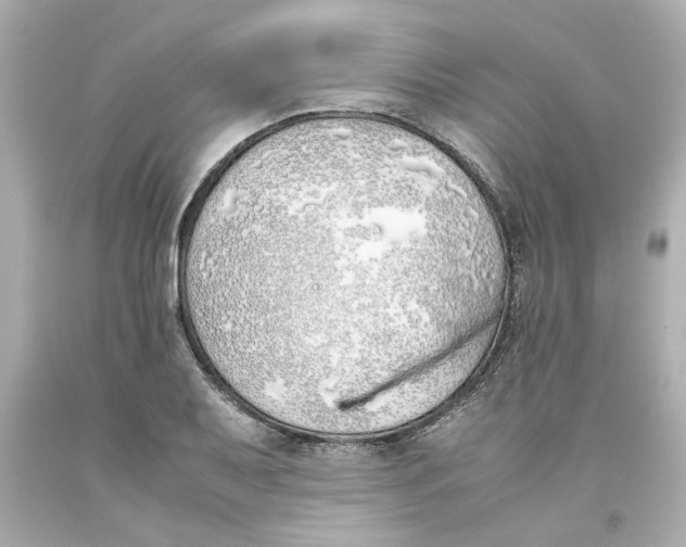 X0000093391079200711011306