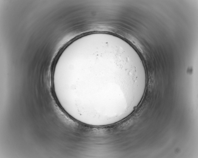 X0000093391080200711011306