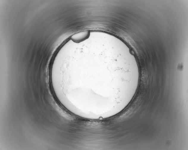 X0000093391082200711011306