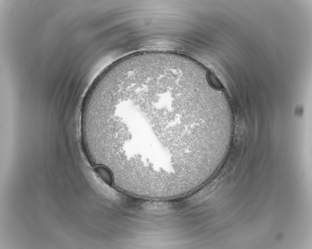 X0000093391083200711011306