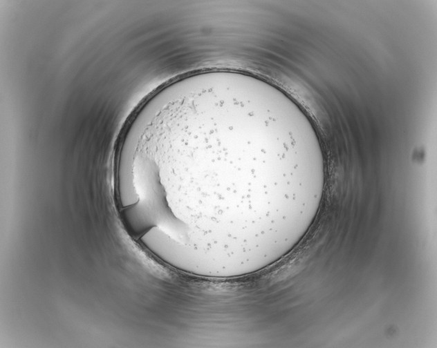 X0000093391084200711011306