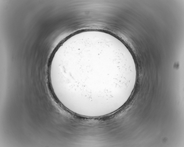 X0000093391085200711011306