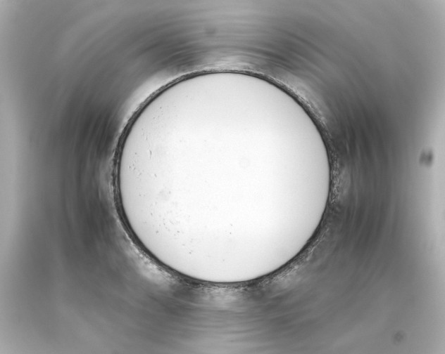 X0000093391086200711011306