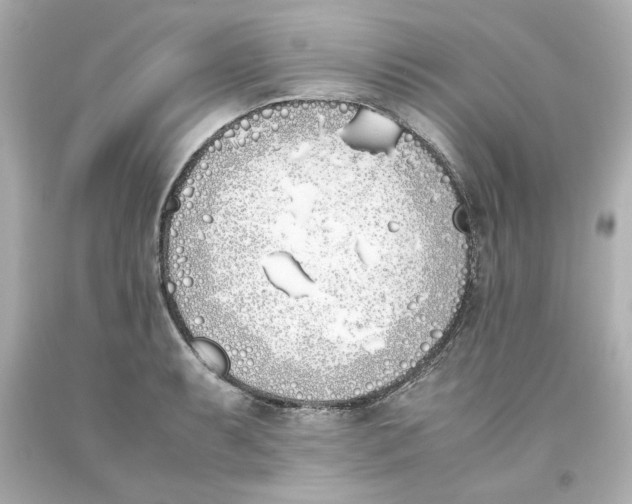 X0000093391087200711011306