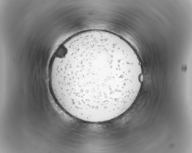 X0000093391088200711011305