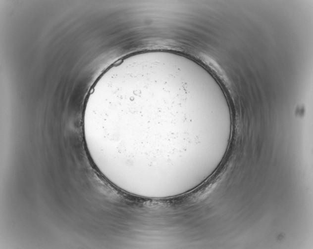 X0000093391089200711011305