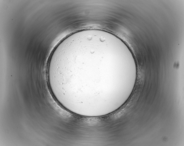 X0000093391090200711011305