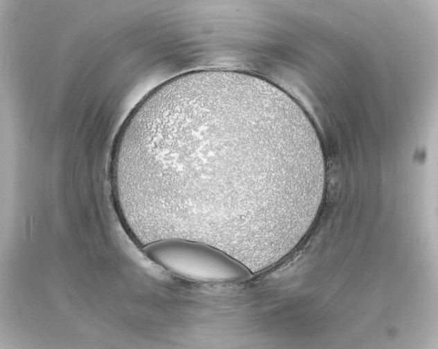 X0000093391091200711011305